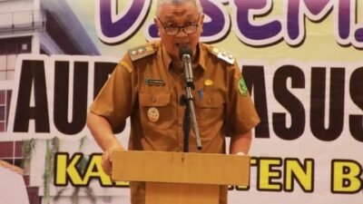 Wakil Bupati Bengkayang Buka Diseminasi Audit Kasus Stunting di Hotel Lala Golden