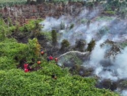 Personil Gabungan BPBD Kobar Padamkan Kebakaran Lahan Seluas 7 Hektar di Kecamatan Kumai