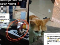 Kisah Mengguncang: NY di Semarang Tertangkap Mengonsumsi Daging Kucing, Polisi Ungkap Proses Pembunuhan dan Konsumsi