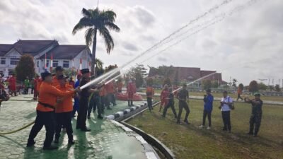 Kebakaran Hutan dan Lahan Adalah Salah Satu Masalah Serius yang Dihadapi Setiap Tahun