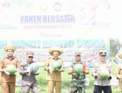 Panen Semangka dan Melon di Desa Kamawen: Harapan Penjabat Bupati Barito Utara untuk Peningkatan Pertanian